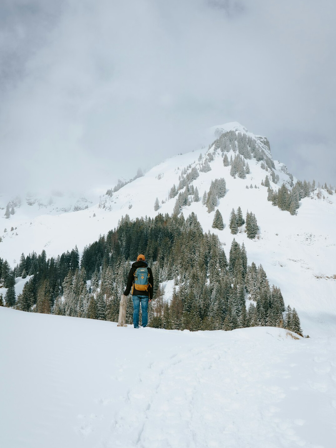 swiss alps mountain view
